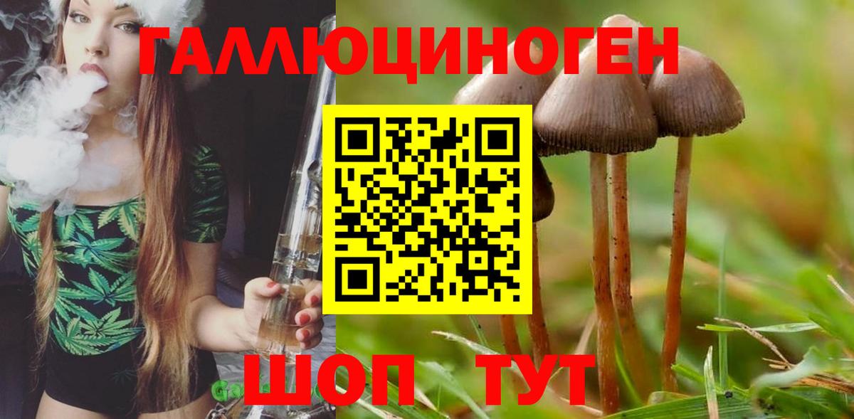 Псилоцибиновые грибы ЛСД  Галлюциногенные грибы GOLDEN TEACHER  Азнакаево  Вход с VPN 