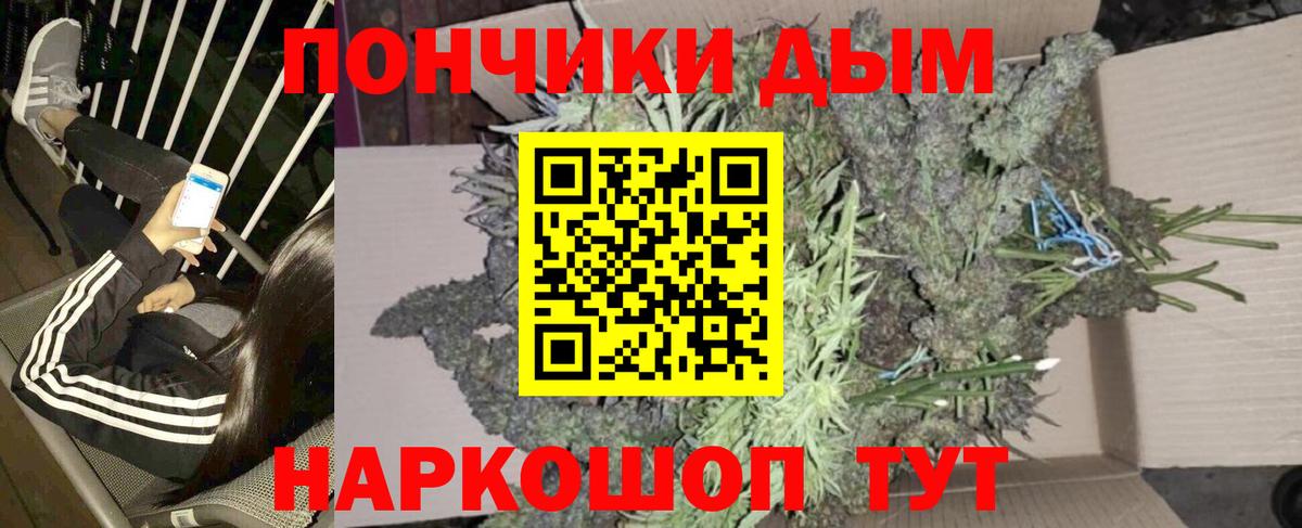 Бошки Шишки сатива  Вход с VPN  Азнакаево  Конопля план  Каннабис марихуана  Марихуана марихуана 